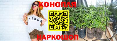 шишки Ярцево