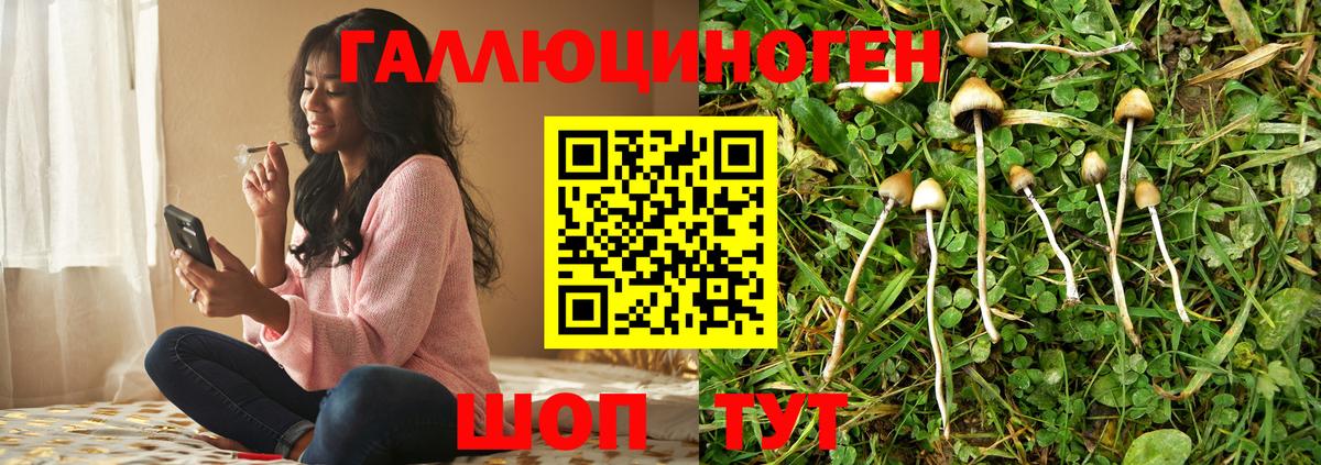 Галлюциногенные грибы Cubensis Пенза