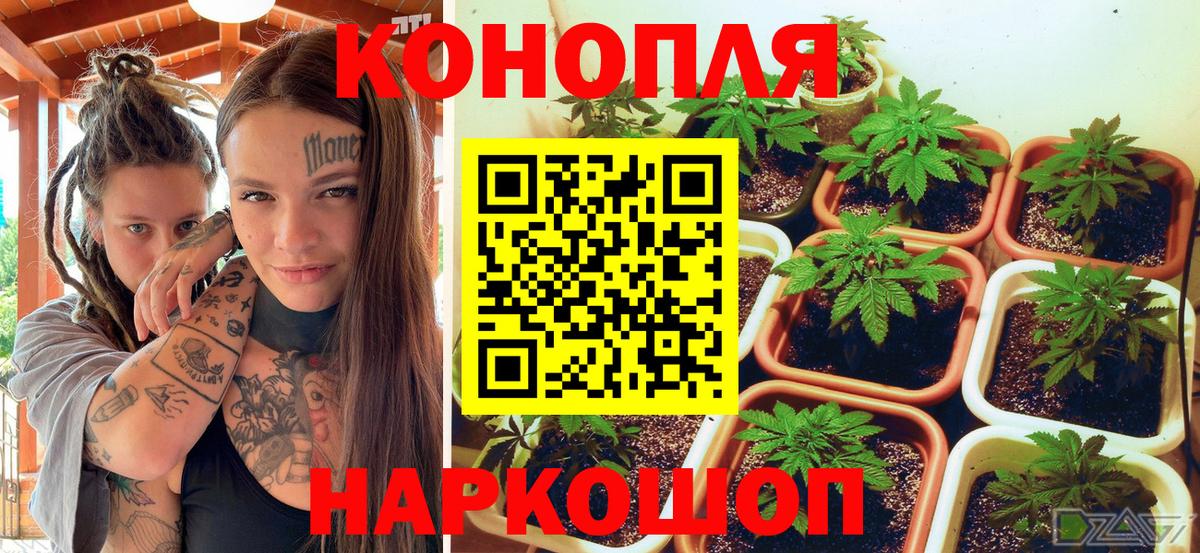 Пенза  Бошки Шишки LSD WEED  Шишки марихуана индика  Марихуана Bruce Banner  Вход с VPN 